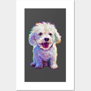 Cute Bichon Frise by Robert Phelps Posters and Art